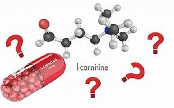 قرص ال کارنیتین برای کاهش وزن ال-کارنیتین به عنوان یک مکمل غذایی معروف به دلیل پتانسیل آن در کمک به تلاش های کاهش وزن محبوبیت پیدا کرده است. نقش مهمی در انتقال اسیدهای چرب به میتوکندری ایفا می کند، جایی که آنها متابولیزه شده و به انرژی تبدیل می شوند. با این حال، برای استفاده کامل از مزایای آن، درک بهترین زمان مصرف ال-کارنیتین ضروری است. در این مقاله، زمان بندی بهینه و سایر ملاحظات برای کاهش وزن موثر با ال کارنیتین را بررسی خواهیم کرد.لاغری با ال کارنتین معرفی: ال-کارنیتین یک ترکیب طبیعی است که در بدن انسان، عمدتاً در کبد و کلیه ها سنتز می شود. با تسهیل انتقال اسیدهای چرب به میتوکندری، نیروگاه سلول ها، نقش مهمی در متابولیسم انرژی ایفا می کند. این فرآیند بدن را قادر می‌سازد تا چربی‌ها را به انرژی قابل استفاده تبدیل کند و آن را به مکملی جذاب برای افرادی تبدیل می‌کند که قصد کاهش وزن اضافی را دارند. ال کارنیتین چیست؟ ال-کارنیتین، همچنین به عنوان لووکارنیتین شناخته می شود، یک مشتق اسید آمینه است که بدن ما از لیزین و متیونین تولید می کند. نقش مهمی در تولید انرژی ایفا می کند، زیرا اسیدهای چرب با زنجیره بلند را از طریق غشای سلولی به میتوکندری می فرستد، جایی که آنها تحت بتا اکسیداسیون قرار می گیرند، فرآیندی که چربی ها را به انرژی تبدیل می کند. علاوه بر این، ال کارنیتین در منابع غذایی مختلف از جمله گوشت، ماهی و محصولات لبنی یافت می شود. ال-کارنیتین چگونه به کاهش وزن کمک می کند؟ دخالت ال کارنیتین در متابولیسم چربی، آن را به یک مکمل جذاب برای افرادی که به دنبال کاهش وزن هستند تبدیل می کند. با افزایش انتقال اسیدهای چرب به داخل میتوکندری، ال کارنیتین باعث تسهیل چربی سوزی کارآمد می شود که به طور بالقوه می تواند منجر به افزایش سطح انرژی و کاهش ذخیره چربی شود. توجه به این نکته مهم است که اگرچه ال کارنیتین در کمک به کاهش وزن امیدوارکننده است، اما به تنهایی یک راه حل جادویی نیست و باید با یک رژیم غذایی متعادل و ورزش منظم برای نتایج مطلوب ترکیب شود. قرص ال کارنیتین برای کاهش وزن مطلب پیشنهادی: کاهش وزن ایمن انواع مکمل های ال کارنیتین انواع مختلفی از مکمل های ال کارنیتین در بازار موجود است. رایج ترین آنها عبارتند از ال-کارنیتین تارتارات، ال-کارنیتین فومارات، استیل-ال-کارنیتین و پروپیونیل-ال-کارنیتین. هر فرم دارای مزایا و نرخ جذب خاصی است. برای اهداف کاهش وزن، ال-کارنیتین تارتارات و استیل-ال-کارنیتین به دلیل توانایی آنها در افزایش متابولیسم چربی معمولا استفاده می شود. بهترین زمان مصرف ال کارنیتین زمان مصرف ال کارنیتین می تواند بر اثربخشی آن در کمک به کاهش وزن تأثیر بگذارد. برای به حداکثر رساندن فواید آن، مصرف ال کارنیتین قبل از شروع فعالیت بدنی توصیه می شود. مصرف مکمل قبل از تمرین به بدن اجازه می دهد تا از افزایش انرژی حاصل از متابولیسم چربی در حین ورزش استفاده کند و به طور بالقوه منجر به نتایج بهتر شود. با این حال، پاسخ های فردی ممکن است متفاوت باشد، بنابراین ضروری است که به بدن خود گوش دهید و با زمان های مختلف آزمایش کنید تا بهترین کار را برای شما پیدا کنید. فواید و خطرات ال کارنیتین ال-کارنیتین مزایای زیادی فراتر از کاهش وزن دارد، مانند بهبود عملکرد ورزشی، کاهش درد عضلانی و حمایت بالقوه از سلامت قلب. با این حال، مانند هر مکمل دیگری، با عوارض جانبی بالقوه همراه است. برخی از افراد ممکن است ناراحتی خفیف گوارشی، حالت تهوع یا بوی بدن ماهی را تجربه کنند. برای به حداقل رساندن خطرات، بسیار مهم است که دوز توصیه شده را رعایت کنید و در صورت داشتن شرایط پزشکی از قبل با یک متخصص مراقبت های بهداشتی مشورت کنید. دوزهای توصیه شده دوز توصیه شده ال کارنیتین برای کاهش وزن معمولاً بین ۵۰۰ تا ۲۰۰۰ میلی گرم در روز است. ضروری است که با دوز کمتر شروع کنید و به تدریج آن را بر اساس تحمل و پاسخ فردی افزایش دهید. همیشه دستورالعمل های محصول را دنبال کنید یا با یک متخصص مراقبت های بهداشتی مشورت کنید تا دوز مناسب را برای نیازهای خاص خود تعیین کنید. نکاتی برای به حداکثر رساندن ال کارنیتین برای افزایش اثربخشی ال-کارنیتین در سفر کاهش وزن، مصرف آن را با یک رژیم غذایی متعادل و فعالیت بدنی منظم ترکیب کنید. برای تقویت بیشتر چربی سوزی، در تمرینات هوازی، مانند دویدن، دوچرخه سواری، یا شنا شرکت کنید. به یاد داشته باشید که کاهش وزن یک فرآیند تدریجی است و ثبات کلیدی برای دستیابی به نتایج پایدار است. قرص ال کارنیتین برای کاهش وزن نتیجه در نتیجه، ال-کارنیتین به دلیل نقشی که در متابولیسم چربی و تولید انرژی دارد، می‌تواند مکمل ارزشمندی برای کاهش وزن شما باشد. زمانی که ال کارنیتین در زمان مناسب مصرف شود، ممکن است به افزایش عملکرد ورزشی و تسهیل چربی سوزی موثر کمک کند. با این حال، مهم است که به یاد داشته باشید که کاهش وزن یک فرآیند چند عاملی است که نیاز به یک رویکرد جامع، از جمله رژیم غذایی، ورزش، و تغییر سبک زندگی دارد. پاسخ های فردی به ال-کارنیتین ممکن است متفاوت باشد، بنابراین ضروری است رویکرد خود را شخصی کنید و در صورت نیاز با یک متخصص مراقبت های بهداشتی مشورت کنید. سوالات متداول آیا می توانم ال کارنیتین را با معده خالی مصرف کنم؟ به طور کلی مصرف ال کارنیتین با معده خالی بی خطر است. با این حال، برخی از افراد ممکن است ناراحتی خفیف معده را تجربه کنند، بنابراین اگر نگران هستید، بهتر است آن را با یک وعده غذایی کوچک مصرف کنید. آیا ال کارنیتین برای گیاهخواران و وگان ها مناسب است؟ بله، مکمل‌های ال کارنیتین به شکل‌های گیاه‌خواری و دوست‌دار گیاه‌خواری در دسترس هستند، مانند ال‌کارنیتین تارتارات که از منابع گیاهی به دست می‌آید. آیا ال کارنیتین می تواند جایگزین ورزش برای کاهش وزن شود؟ خیر، ال کارنیتین نباید جایگزینی برای ورزش باشد. زمانی که با فعالیت بدنی منظم و یک رژیم غذایی متعادل ترکیب شود، بهترین نتیجه را دارد. آیا تداخلی با داروها وجود دارد؟ ال-کارنیتین ممکن است با برخی داروها تداخل داشته باشد. اگر از داروهای تجویزی استفاده می کنید، ضروری است که قبل از شروع هر مکمل جدیدی با ارائه دهنده مراقبت های بهداشتی خود مشورت کنید. آیا ال کارنیتین توسط زنان باردار یا شیرده قابل مصرف است؟ زنان باردار یا شیرده باید قبل از مصرف ال کارنیتین با ارائه دهنده مراقبت های بهداشتی خود مشورت کنند تا از بی خطر بودن و مناسب بودن آن برای شرایط خاص خود اطمینان حاصل کنند